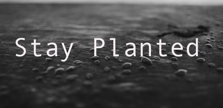 Begin your day right with Bro Andrews life-changing online daily devotional "Stay Planted" read and Explore God's potential in you